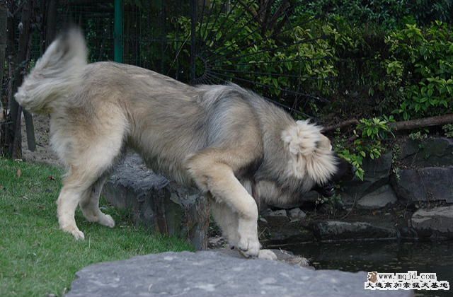 20091001_9e4d059895bcfb0ced7cnqiqxIGFlkci.jpg