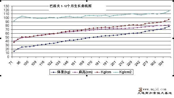 20091130_a1363d9e0d664c1874f5OZGyQglojIgl.jpg