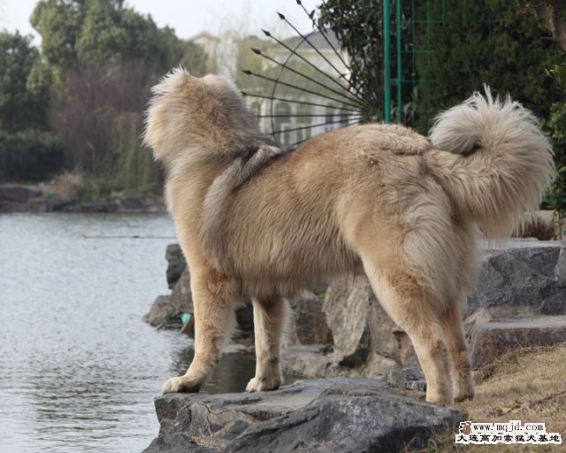 20100303_bc3ee90c4b42dfc878c80HrcXlZpQRbe.jpg