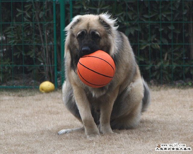 20100110_b9b8b3e1820330dfd514mfhk3O56QZ8N.jpg