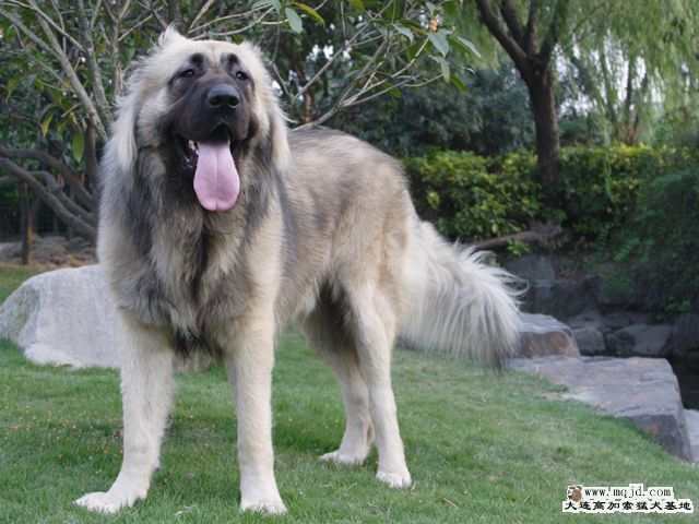 20091028_eb69ade995bd0358b2fcFMvwUyq75VYt.jpg
