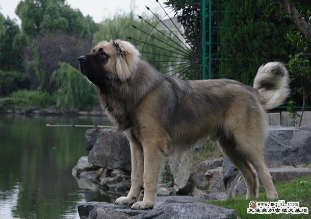 20091001_882448936f37fe63eba7jUdVzvHgkyIu.jpg