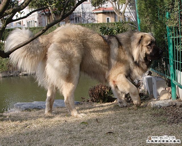 20100215_fedecaeebd5678ccc168e61W0uSErrUs.jpg