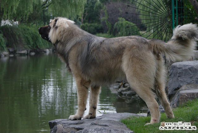 20090927_d90fde23a748d5b3a77exyE2AYbNxrGn.jpg