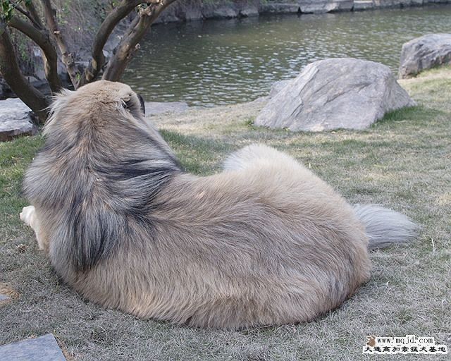 20091228_67df100f9fb9c7e67026GxVOAwQFOlad.jpg