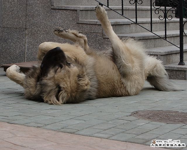 20100129_ee1720b1d36606da433cxTZgEk44tzYq.jpg