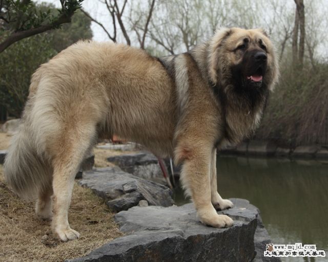 20100228_b69415b8fe6783db3938ADY8u7wO7ltb.jpg