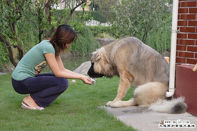 20090901_e0826d029953d63d6bf6PjMnkMecUx3d.jpg