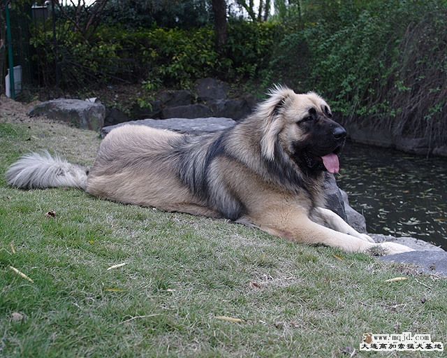 20091203_4cf48b22fd15bb7f5aafZ0dR4HO8kMsT.jpg
