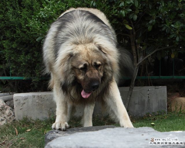 20110424_867d_29m_035_D1.JPG