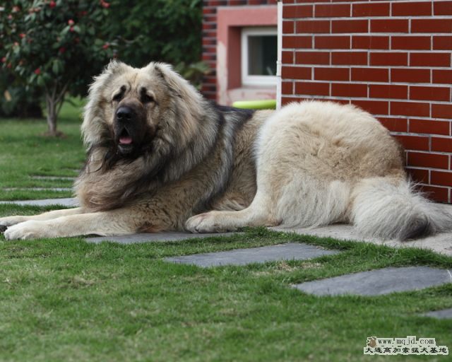 20110424_867d_29m_013_D1.JPG