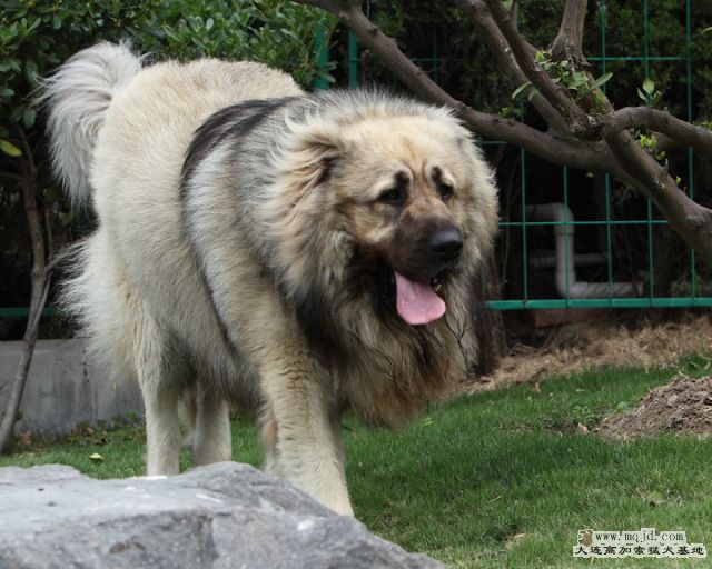 20110424_867d_29m_036_D1.JPG
