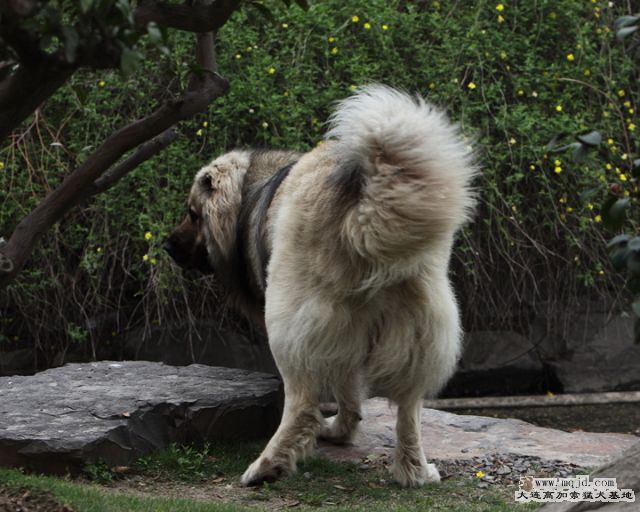 20110424_867d_29m_023_D1.JPG