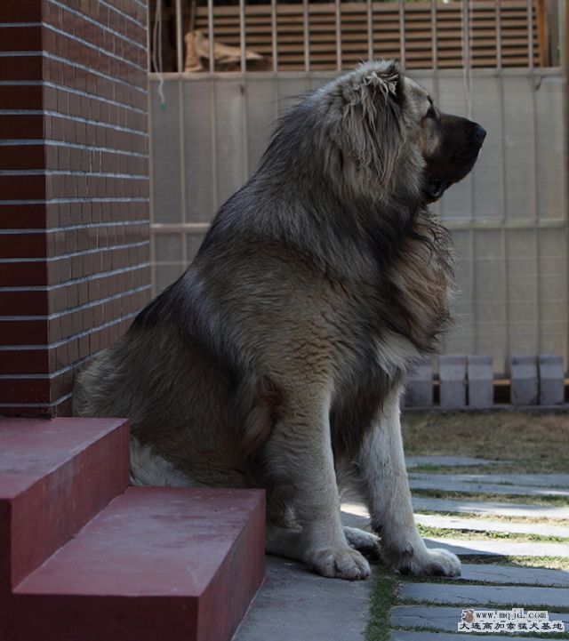 20110404_847d_28.2m_D1001.JPG