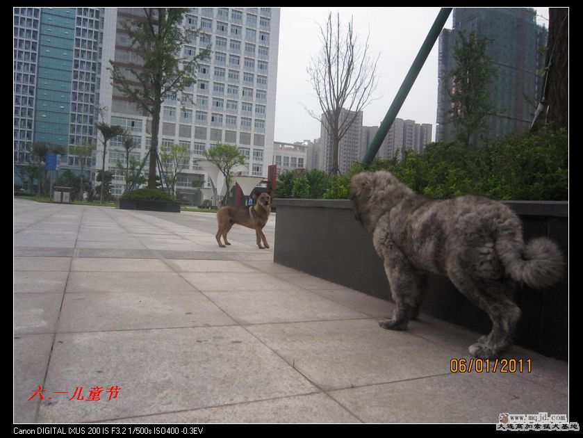 nEO_IMG_Ƭ 036.jpg