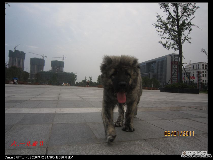 nEO_IMG_Ƭ 043.jpg