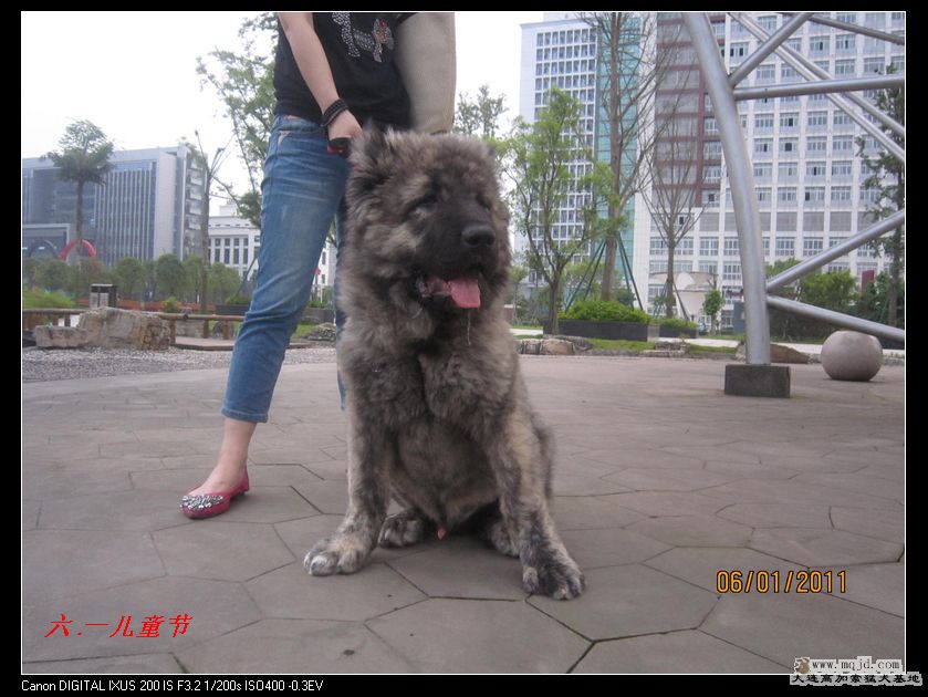 nEO_IMG_Ƭ 014.jpg