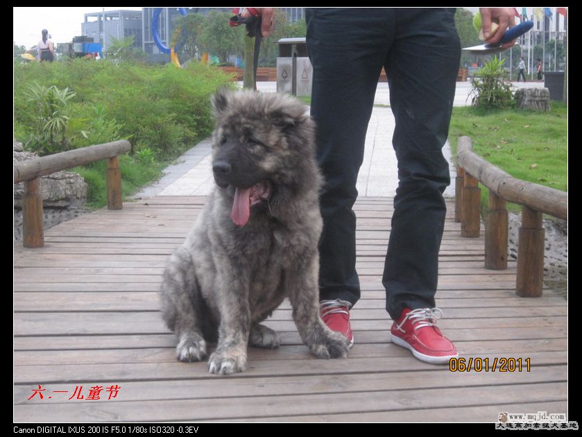 nEO_IMG_Ƭ 012.jpg