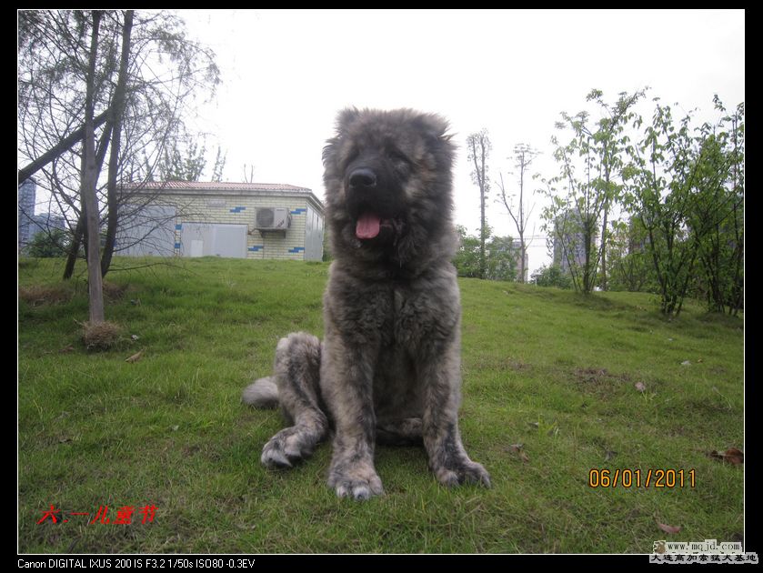 nEO_IMG_Ƭ 018.jpg