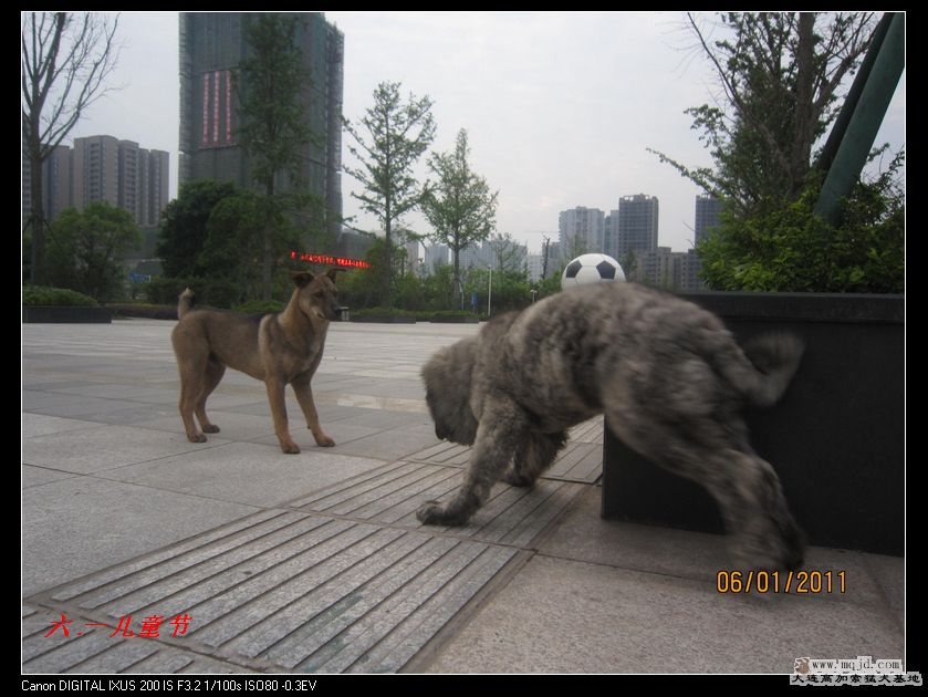 nEO_IMG_Ƭ 037.jpg