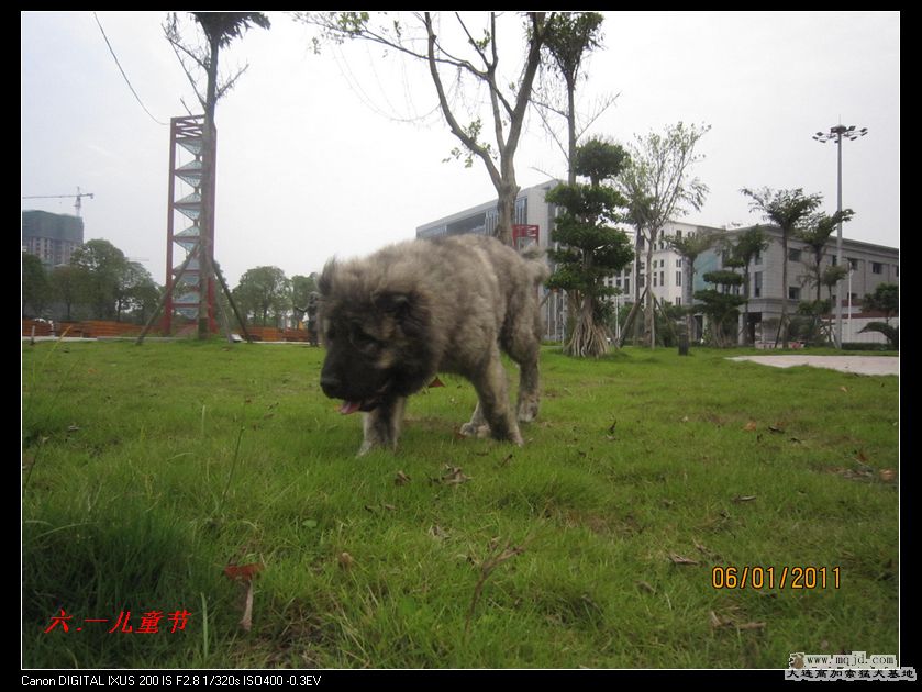 nEO_IMG_Ƭ 041.jpg