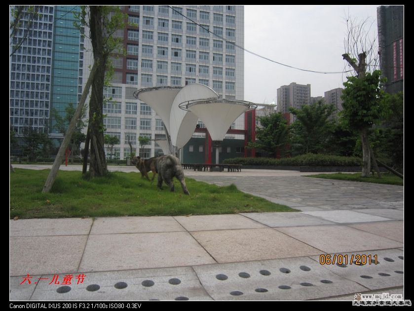 nEO_IMG_Ƭ 038.jpg