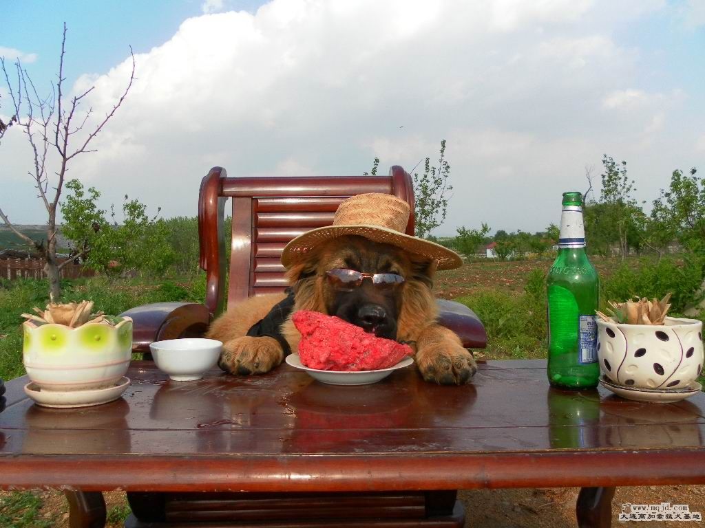 2011060107.jpg