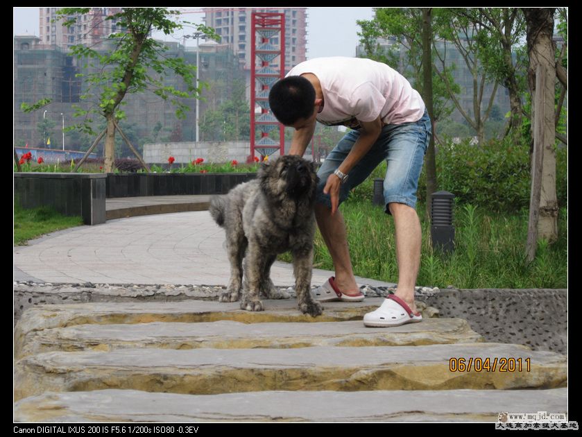 nEO_IMG_Ƭ 033.jpg