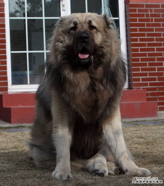 201110313_825d_27.5m_032b_HD.JPG