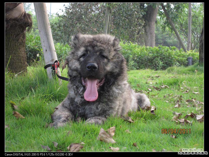 nEO_IMG_Ƭ 047.jpg