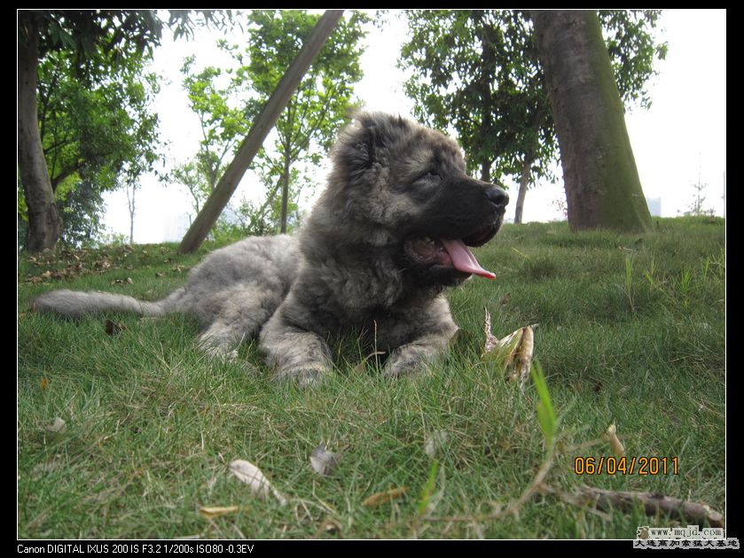 nEO_IMG_Ƭ 039.jpg