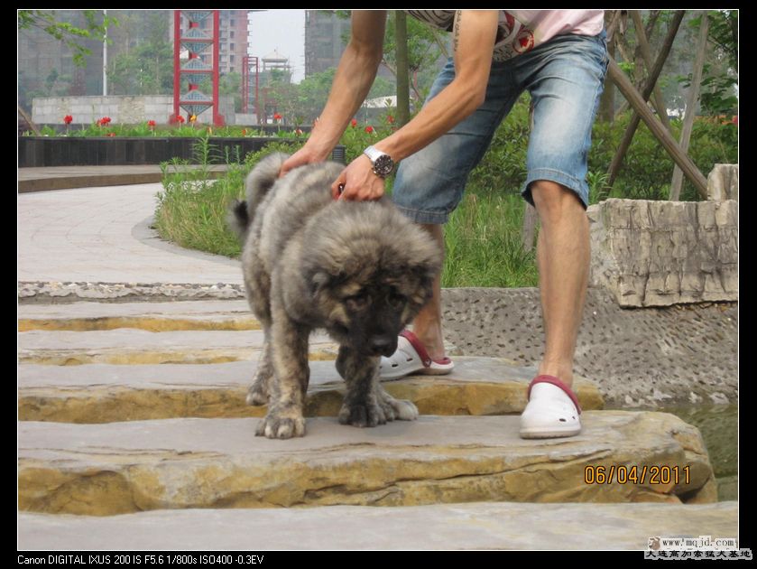 nEO_IMG_Ƭ 035.jpg