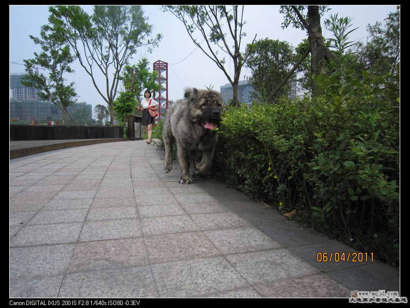 nEO_IMG_Ƭ 029.jpg