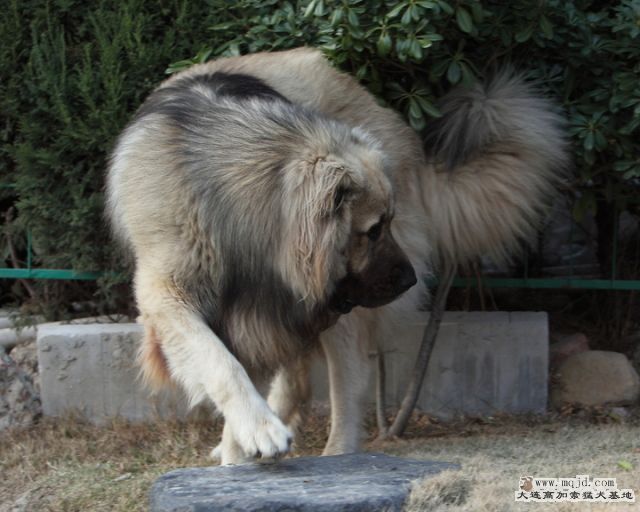 201110313_825d_27.5m_017_D1.JPG
