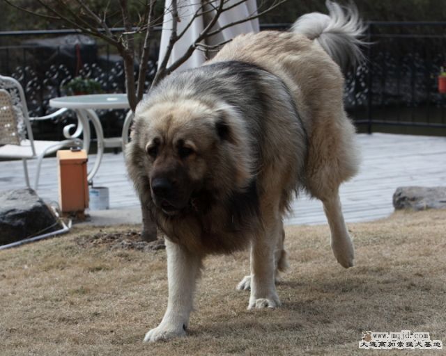 201110313_825d_27.5m_031_D1.JPG