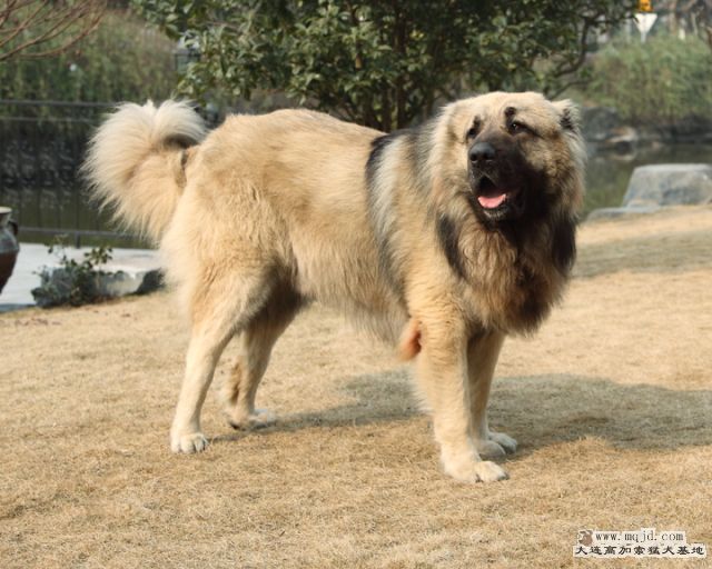 20110121_778d_044_D1.JPG