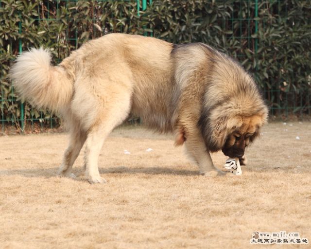 20110121_778d_038_D1.JPG