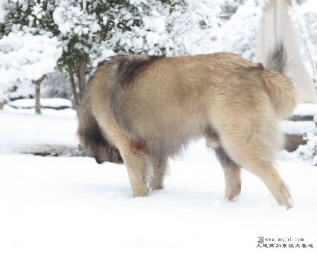 20110121_776d_0078_D1.JPG
