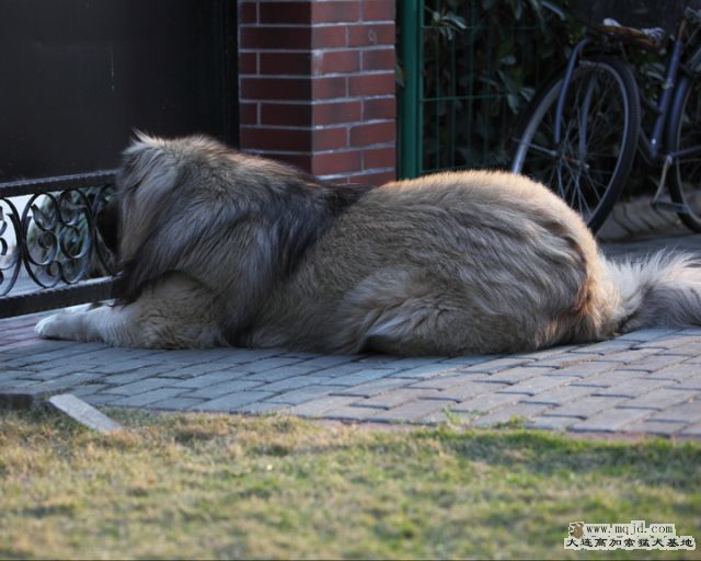 201110404_847d_28.2m_026_D1.JPG