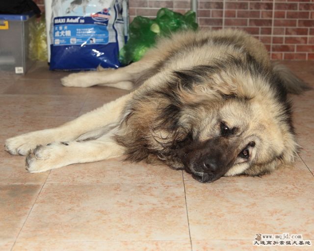 20110203_789d_031_D1.JPG