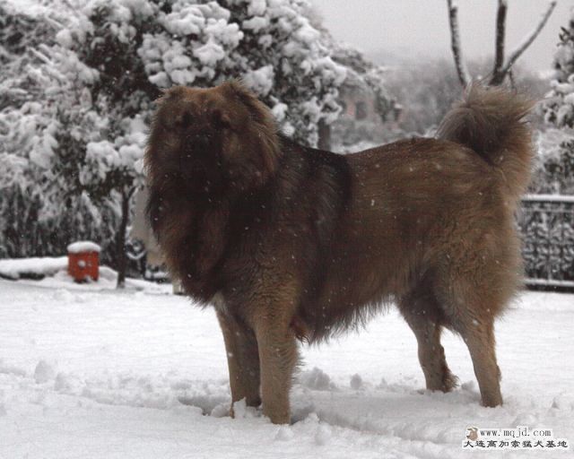 20110121_776d_025_D1.JPG