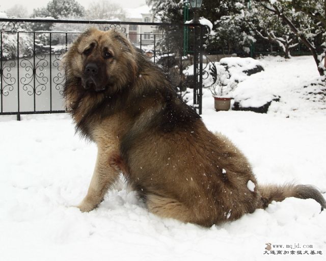 20110121_776d_0107_D1.JPG