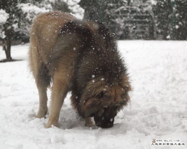 20110121_776d_057_D1.JPG