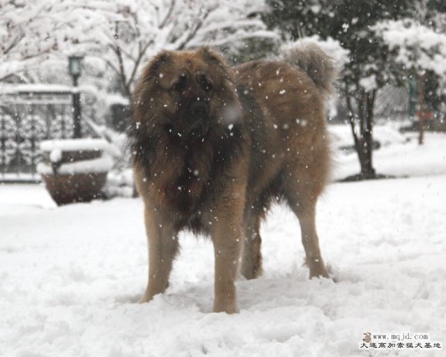 20110121_776d_055_D1.JPG