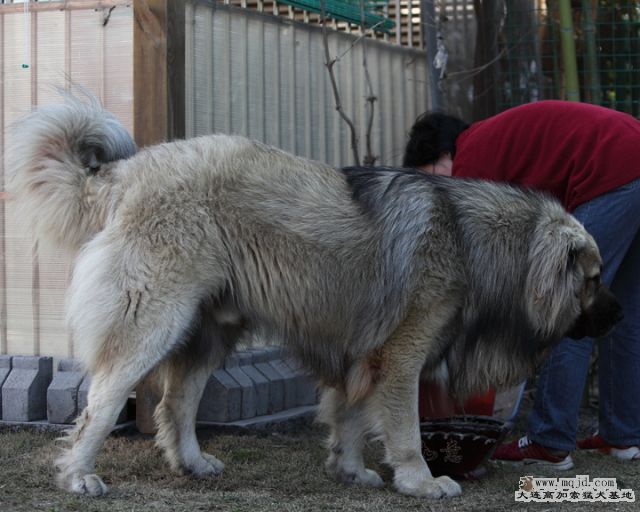 201110404_847d_28.2m_008_D1.JPG