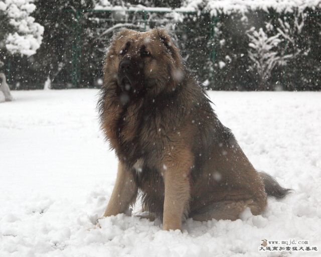 20110121_776d_048_D1.JPG