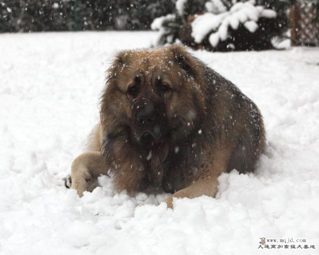 20110121_776d_050_D1.JPG