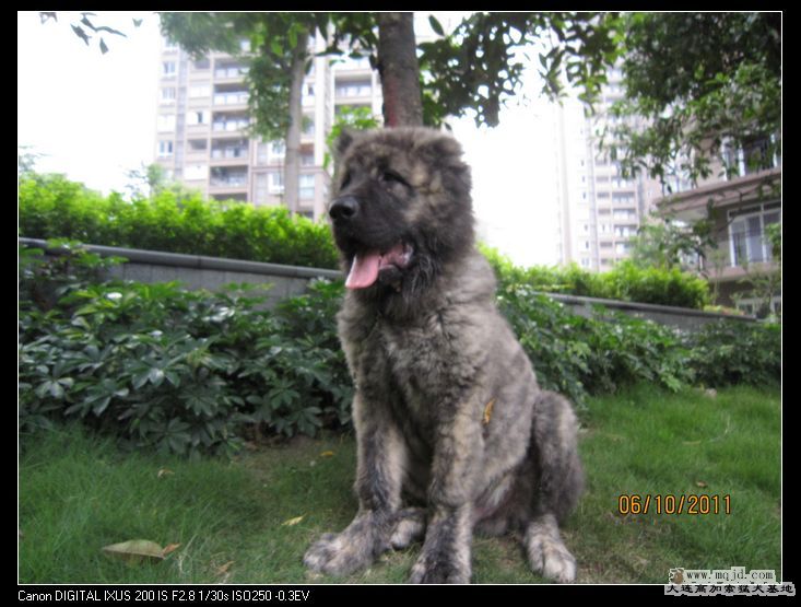 nEO_IMG_Ƭ 019.jpg