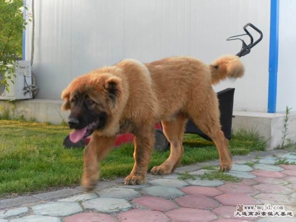 2011061103.jpg