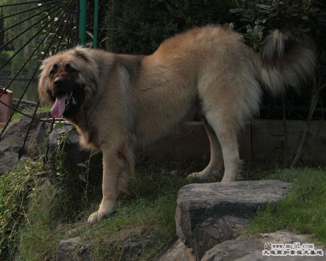 20100718_596d031_D1.JPG